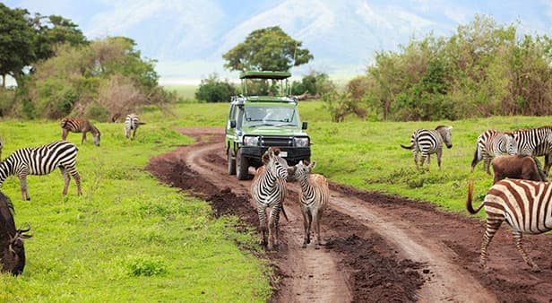 Cruises From Africa, India & Middle East Destination Ports