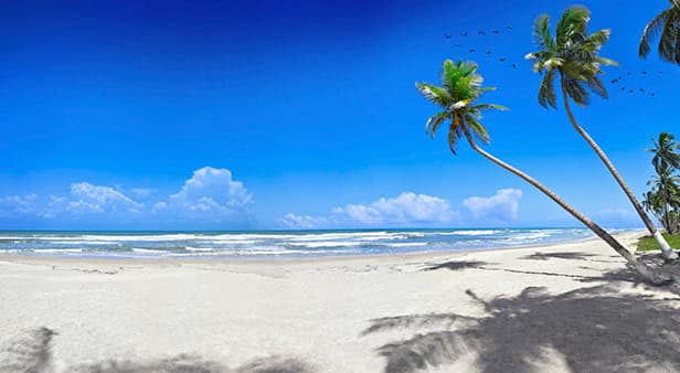 Cruises From Caribbean Islands Destination Ports